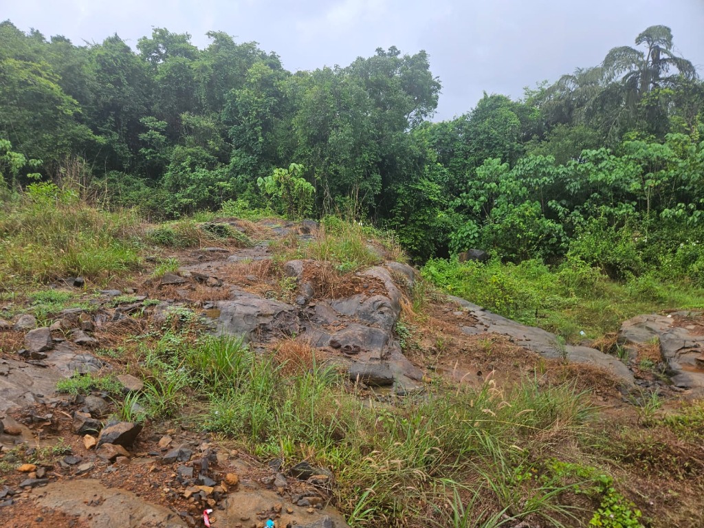 Ballary Tekkalkote Mineral Field